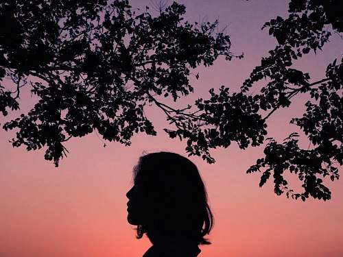 mission dolores park silhouette of person under tree san francisco